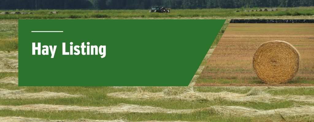 http://webpublishing.mbgov.ca/http://webpublishing.mbgov.ca/en/agriculture/PublishingImages/hay-listing-instream.png/agriculture/PublishingImages/hay-listing-instream.jpg style='display:block;width: 100%;position: relative; margin-top: 20px;'