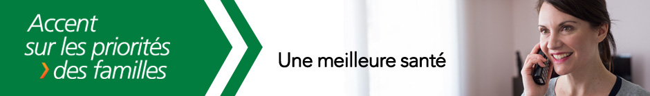 Le Budget 2013