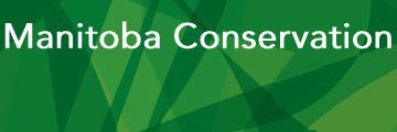 Conservation with Buffalo