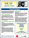 Critical Incident Factsheet (pdf)