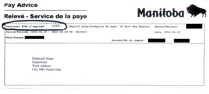 pay stub example