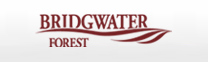 Bridgwater Forest