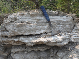 Click to enlarge image of outcrop of gypsum of the Lower Amaranth Member, Gypsumville quarry