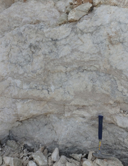 Click to enlarge image of gypsum of the Lower Amaranth Member exposed in Harcus quarry.