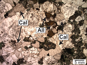 Click to enlarge image of Photomicrograph of allanite (All), a mineral that contains REE, and calcite (Cal) from Brezden Lake.