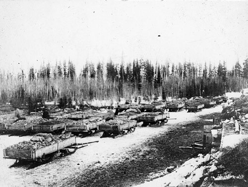 Traîneaux chargés de minerai extrait de la mine Mandy en attente d’être transportés, 1917.