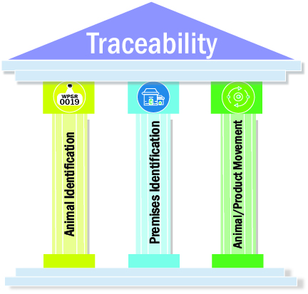 Traceability Pillars