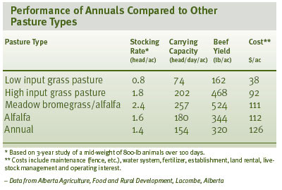 Performance of Annual Compared to Other Pasture Types