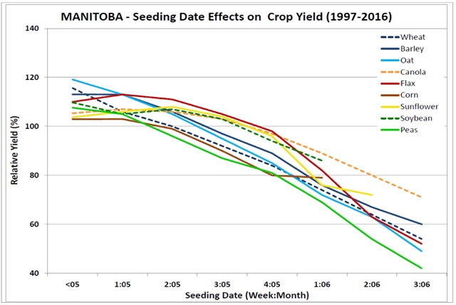 Manitoba Seeding Date Effect Graph