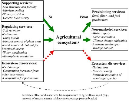 Ecosystem Services and Dis-Services From Agriculture