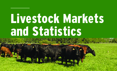 Livestock Markets