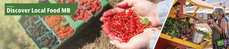Banner with picture of assorted berries and lady shopping in a local produce stall.