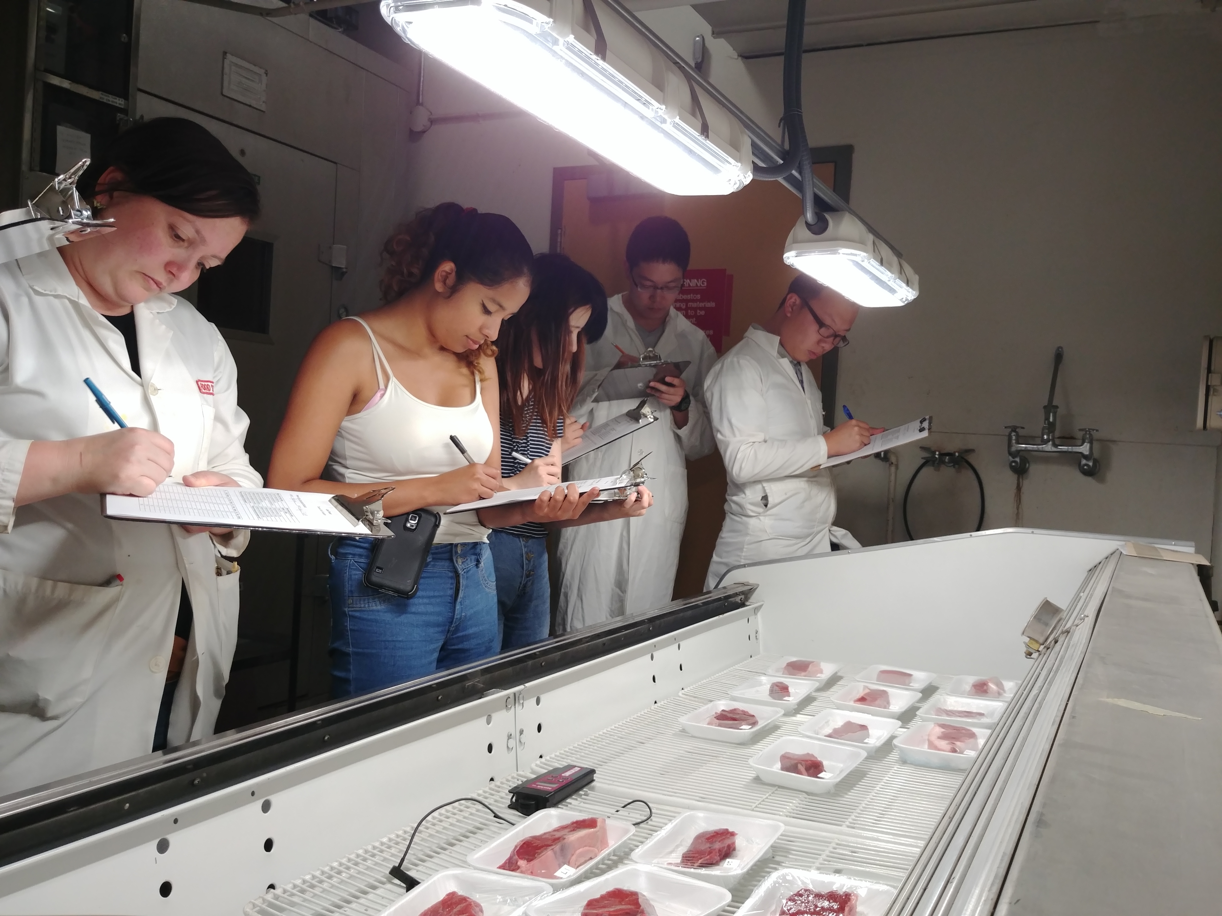 Photo of five students in a meat lab wearing laboratory coats analyzing the characteristics of a variety of cuts of red meat
