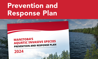 prevention and response plan