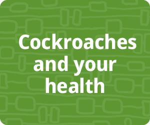 Cockroaches and your health