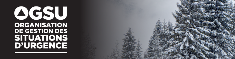 Winter banner for the homepage