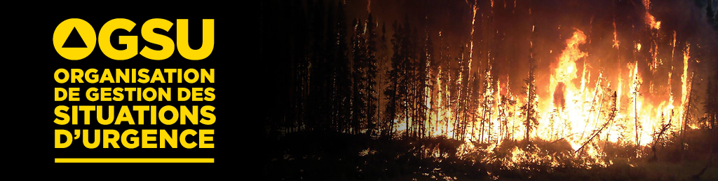 Organisation de gestion des situations d'urgence du Manitoba