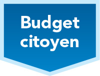 Lancer l'outil : budget citoyen