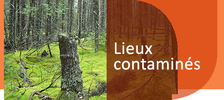 waste management banner waste_main.jpg