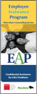 EAP Brochure (pdf)