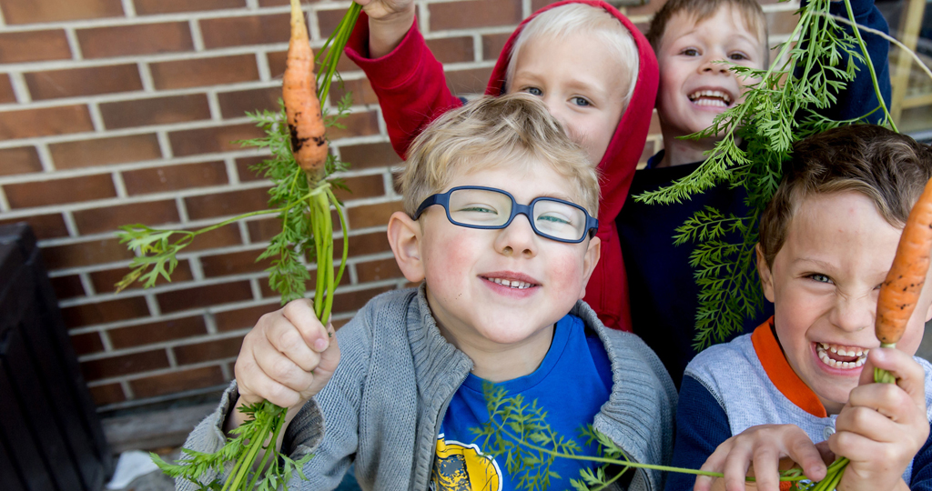 Four young boys holding up carrots and smiling