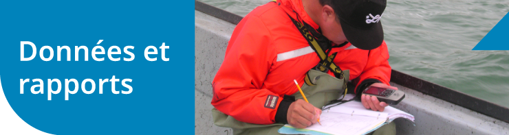 Données et rapports Données et rapports