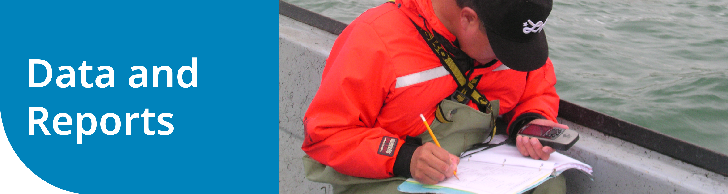 Data and Reports Data and Reports