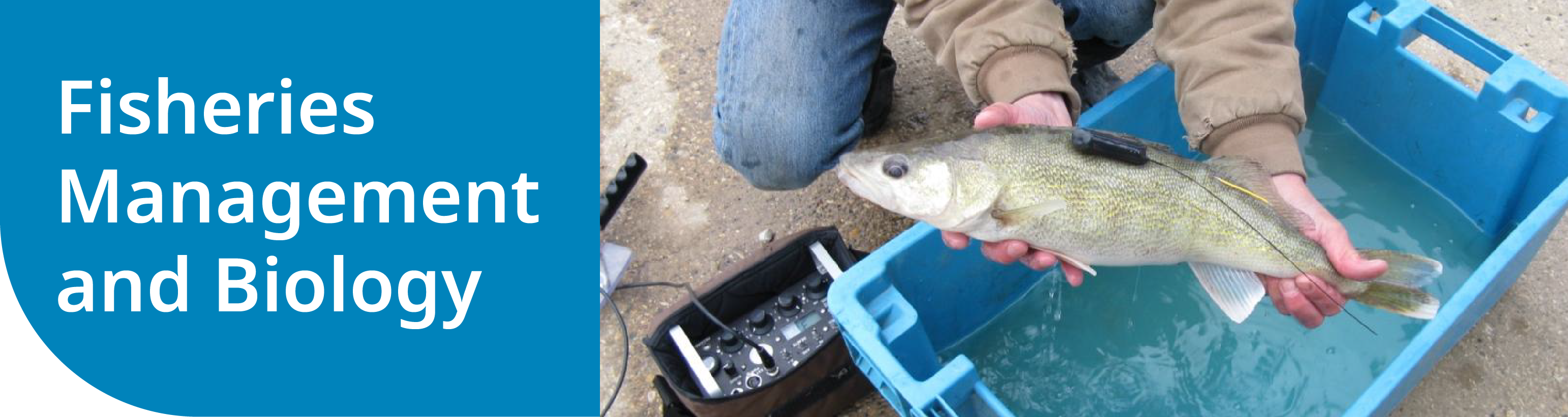 Fisheries Management and Biology Fisheries Management and Biology