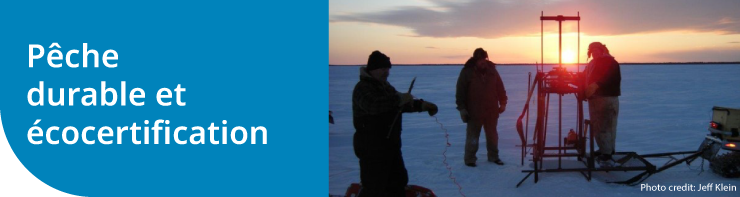 Pêche durable et écocertification Pêche durable et écocertification