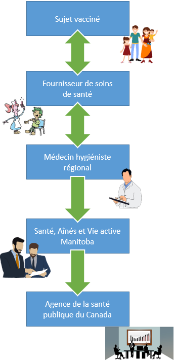 Le processus de déclaration