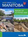 Click for larger view of Report of Activities 2020 cover