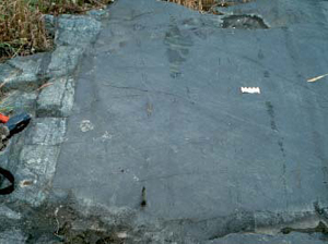Click to enlarge image of ilmenite and magnetite outcrop