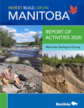 Report of Activities 2020 cover
