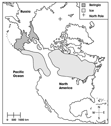 Map of Berengia