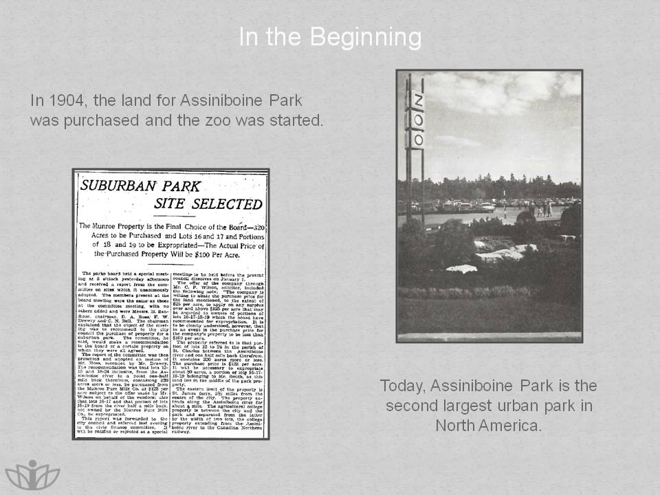 In the Beginning: In 1904, the land for Assiniboine Park was purchased and the zoo was started. Today, Assiniboine Park is the second largest urban park in North America.