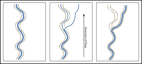 Figure 3: Formation of an alluvial ridge. Note that deposition builds up natural levees on each side of the stream as well as in the bed of the stream.