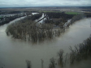 Assiniboine River, 9 km East of Poplar Point, May 2011 Assiniboine River, 9 km East of Poplar Point, May 2011