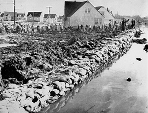 Volunteers sandbagging Winnipeg streets, 1950
