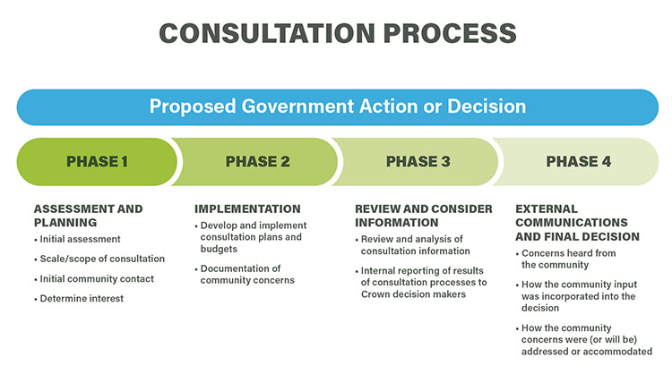 graphic showing the 4 phases of proposed government action or decision