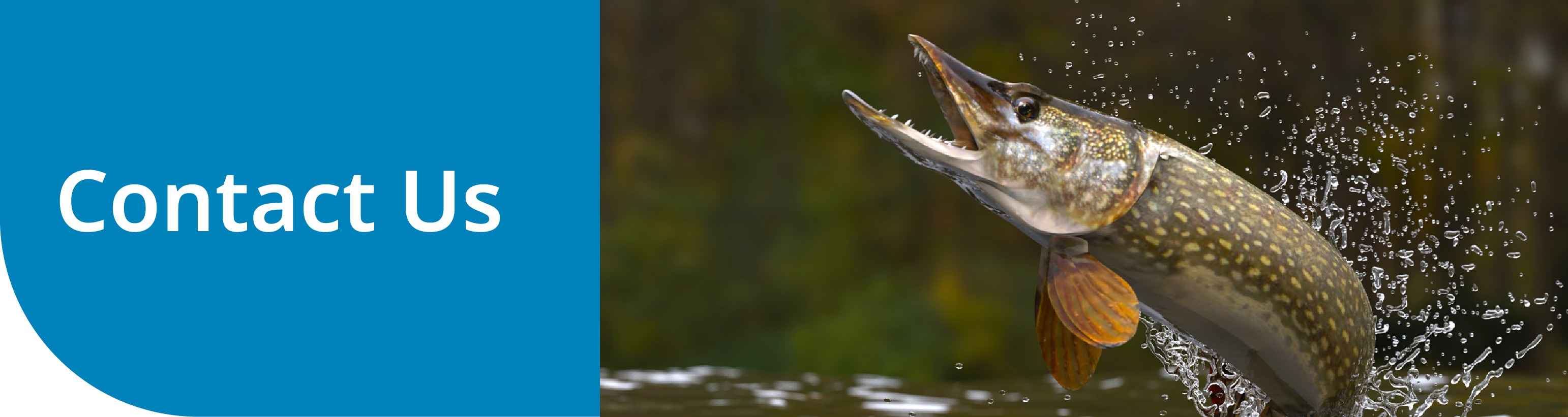 Contact Us Contact Us