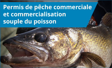 Permis de pêche commerciale et commercialisation souple du poisson