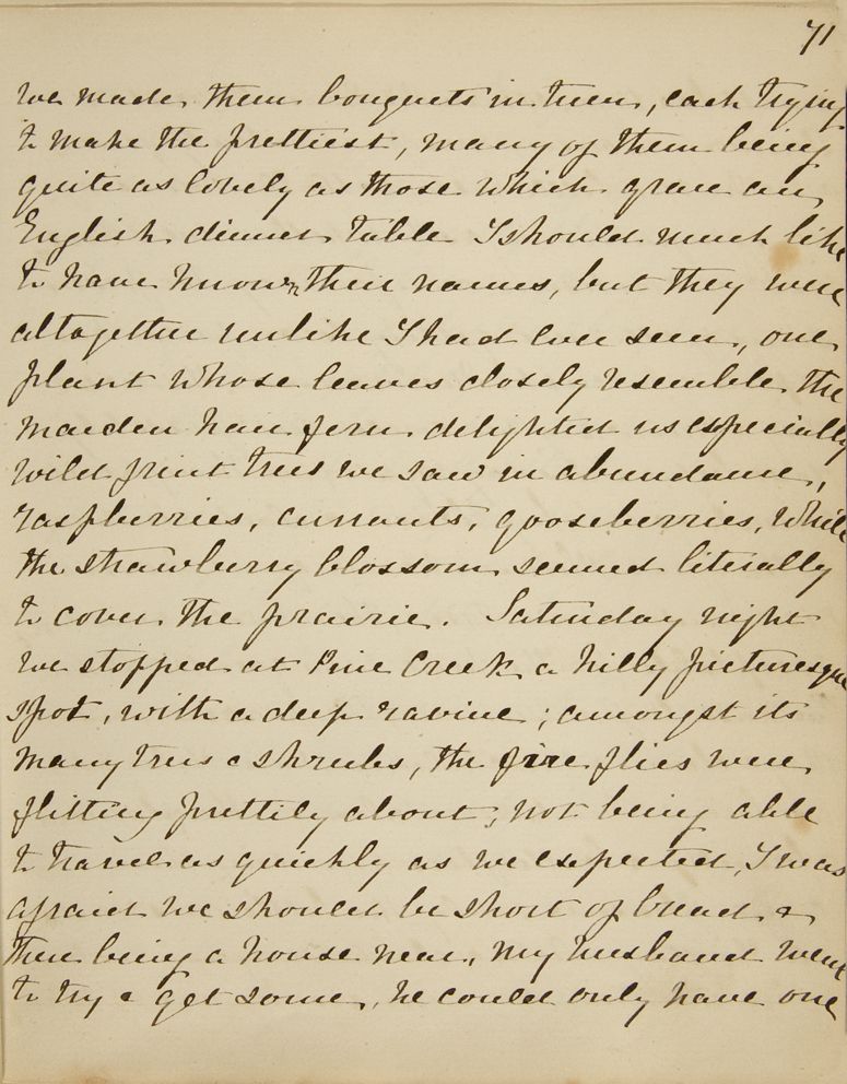 Chapter 7 of Emma Averill's journal