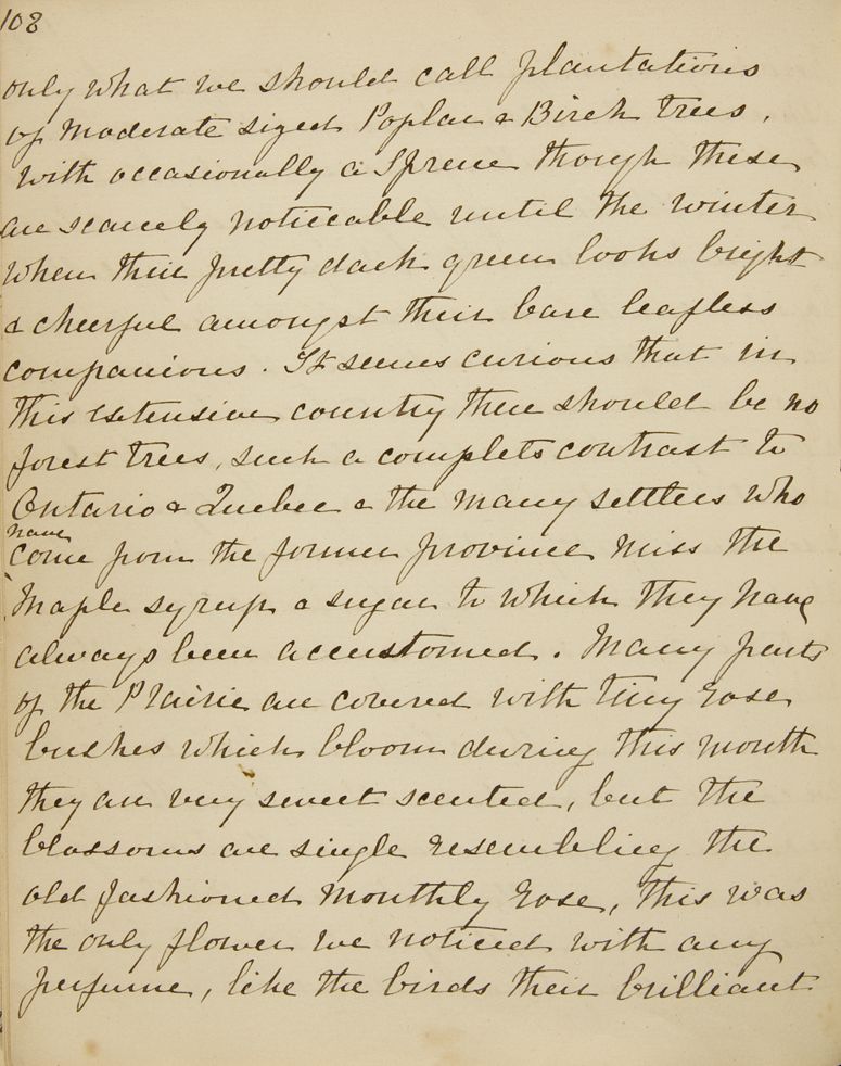 Chapter 9 of Emma Averill's journal