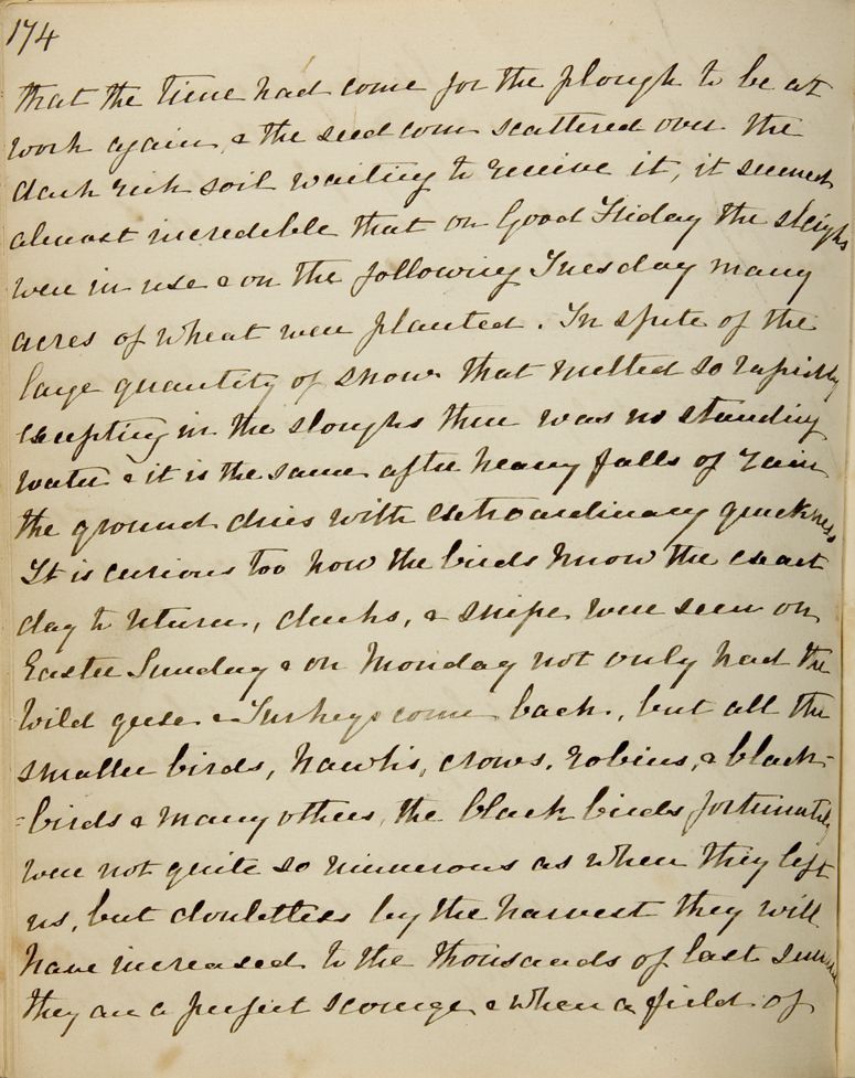 Chapter 14 of Emma Averill's journal