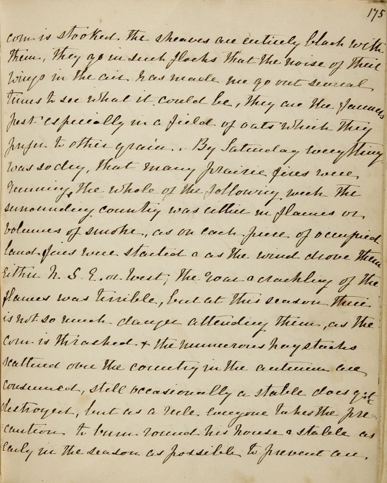 Chapter 14 of Emma Averill's journal