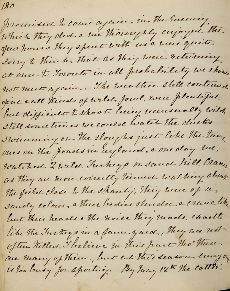 Chapter 14 of Emma Averill's journal