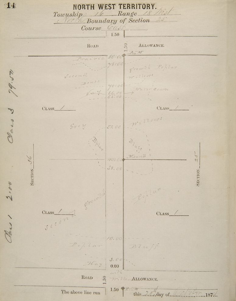 Surveyor field notes