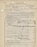 Medical Certificate of Death for Robert Lane, c. 1924